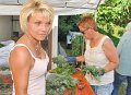 Binden am Donnerstag 019